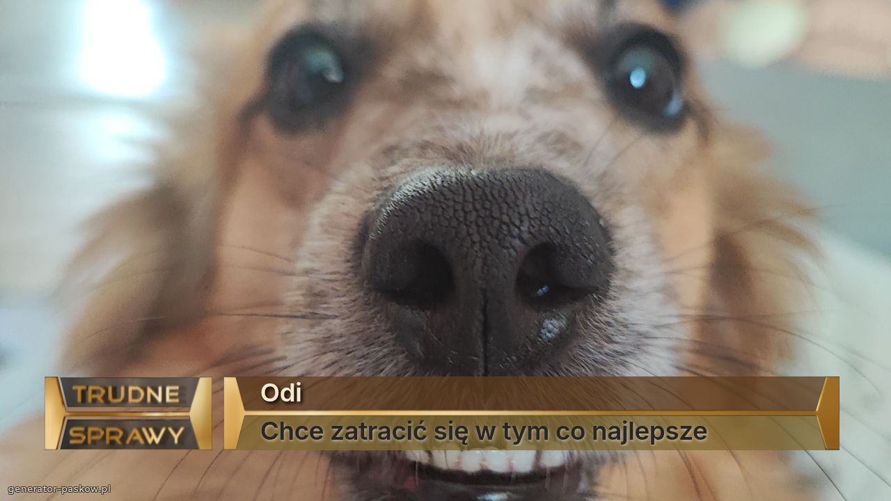 Odi
Chce zatracić się w tym co najlepsze