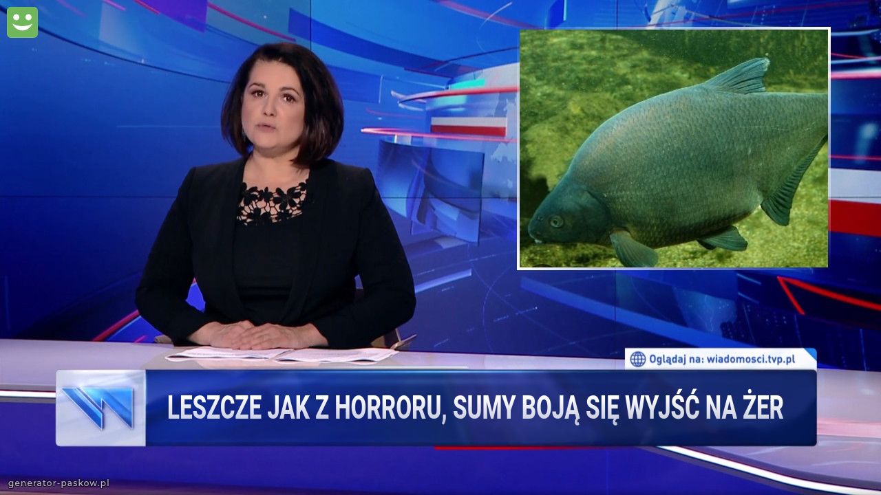 Leszcze jak z horroru, sumy boją się wyjść na żer