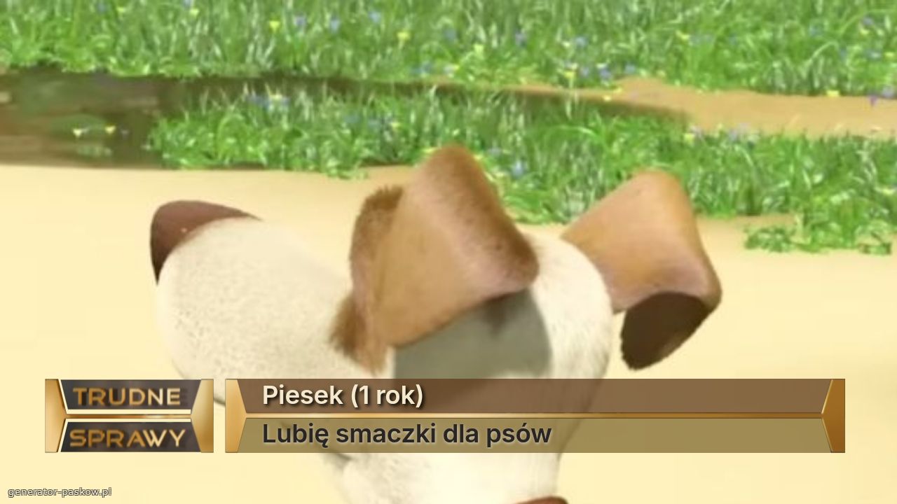 Piesek (1 rok)
Lubię smaczki dla psów