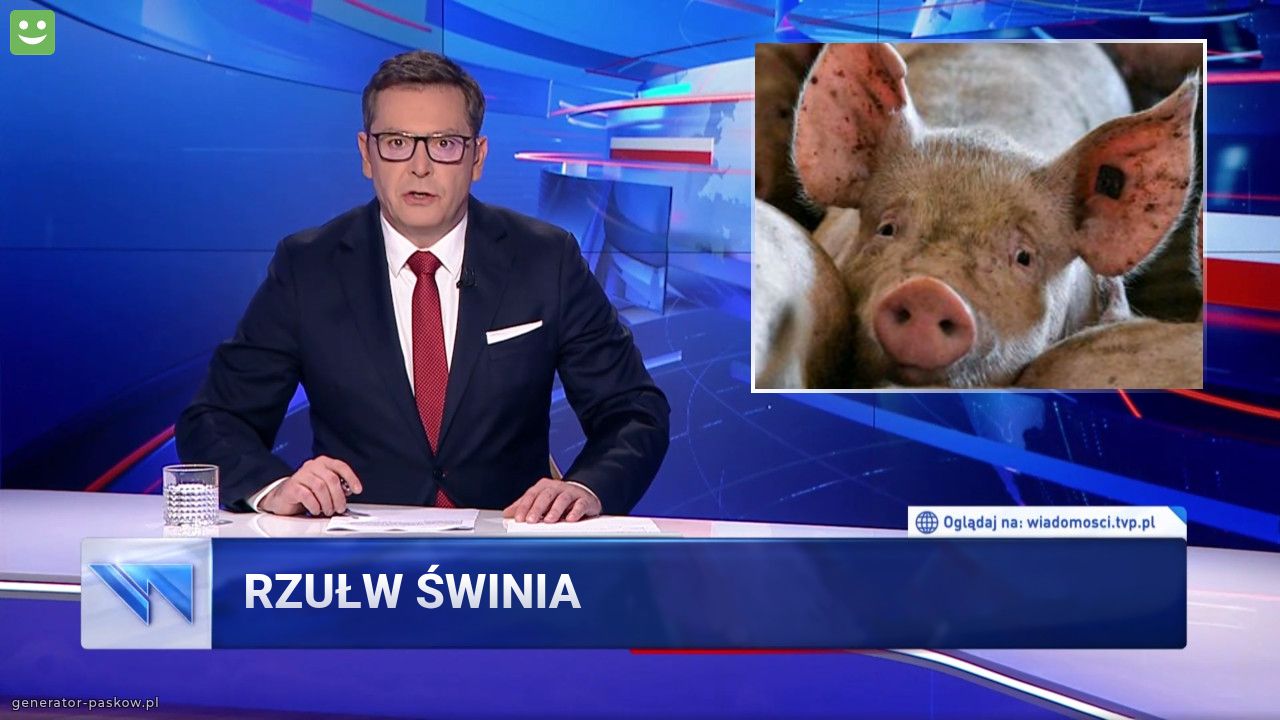 RZUŁW ŚWINIA 