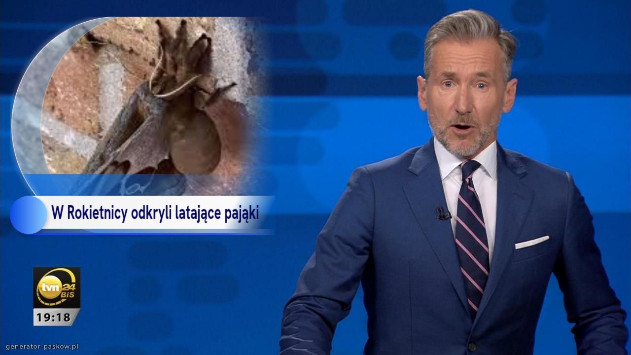 W Rokietnicy odkryli latające pająki 