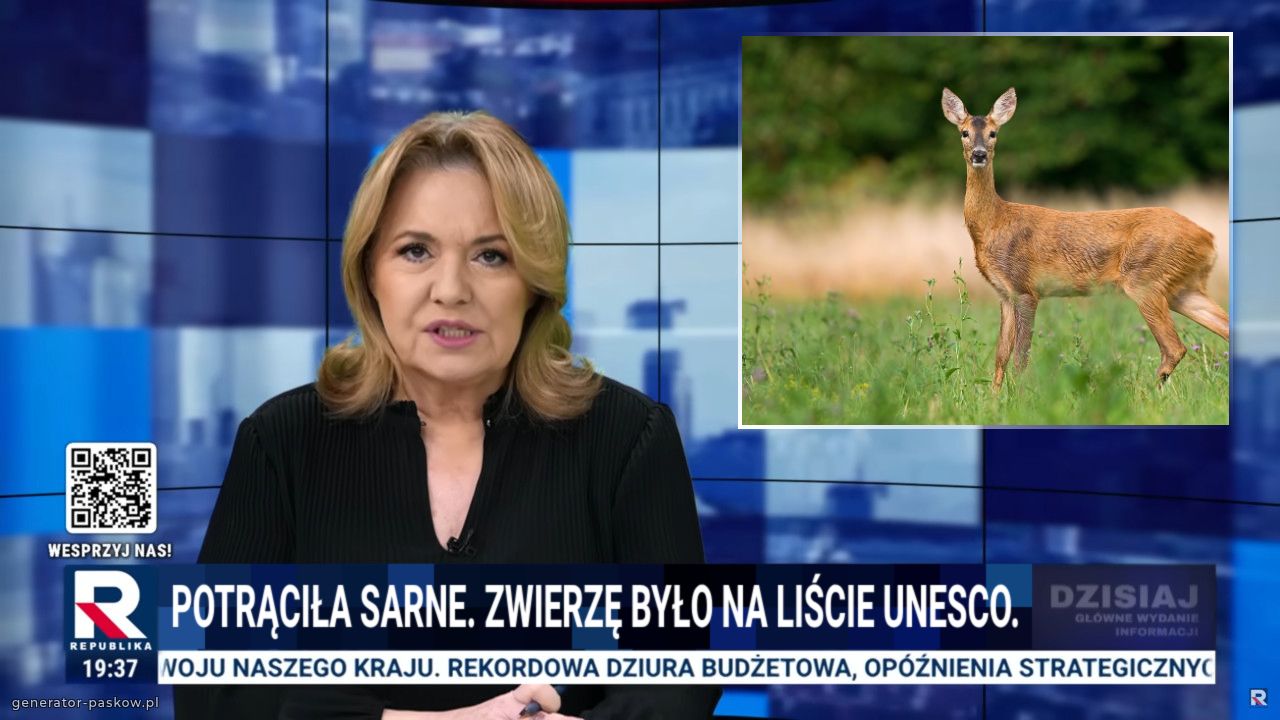 POTRĄCIŁA SARNE. ZWIERZĘ BYŁO NA LIŚCIE UNESCO.