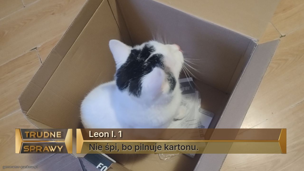 Leon l. 1
Nie śpi, bo pilnuje kartonu.