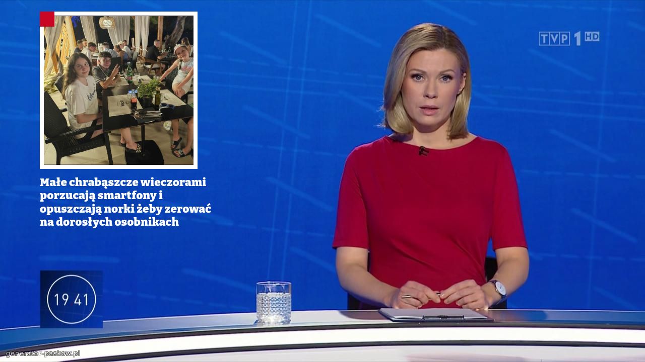 Małe chrabąszcze wieczorami porzucają smartfony i opuszczają norki żeby zerować na dorosłych osobnikach