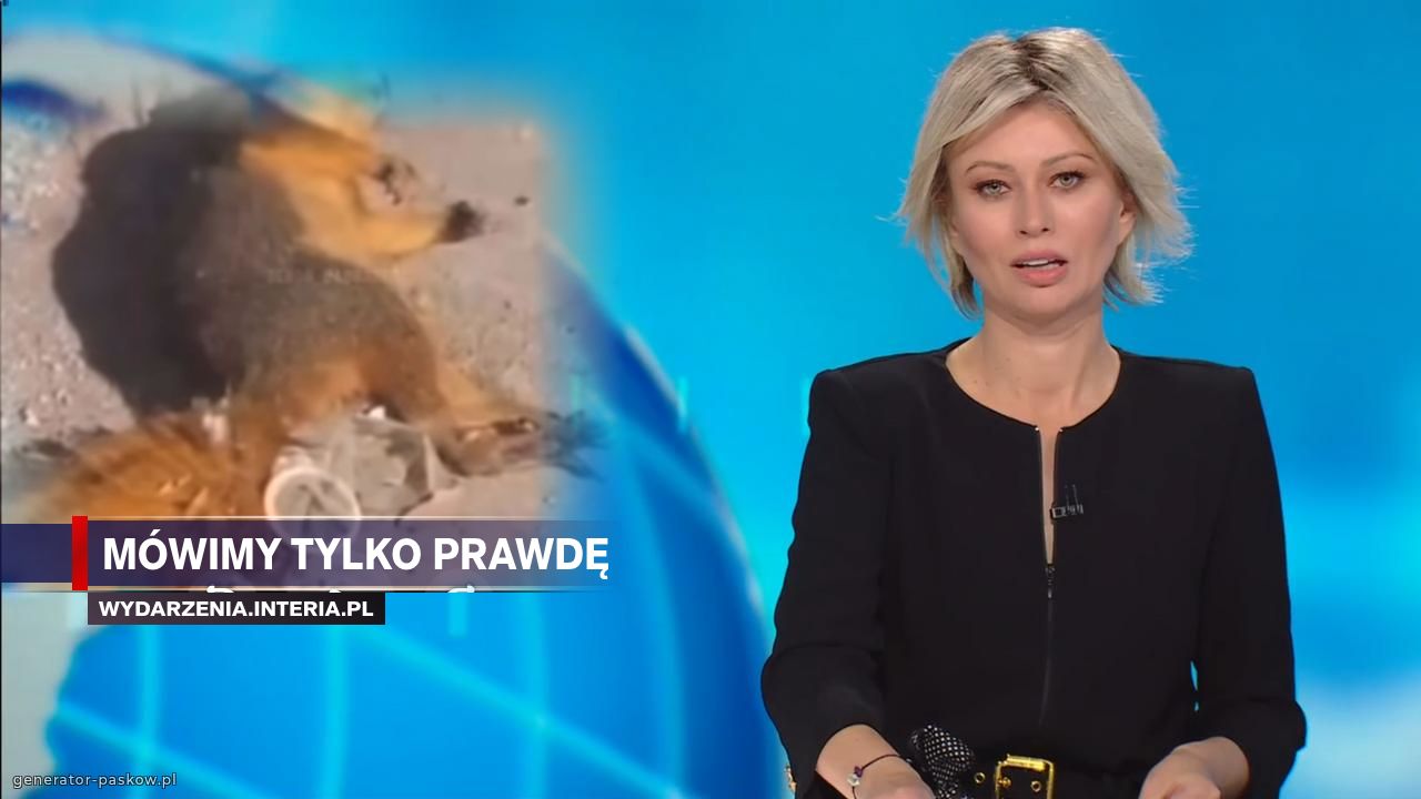 Mówimy tylko prawdę