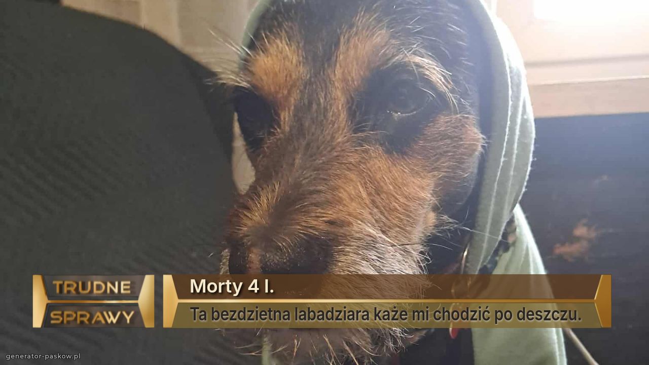 Morty 4 l.
Ta bezdzietna labadziara każe mi chodzić po deszczu.