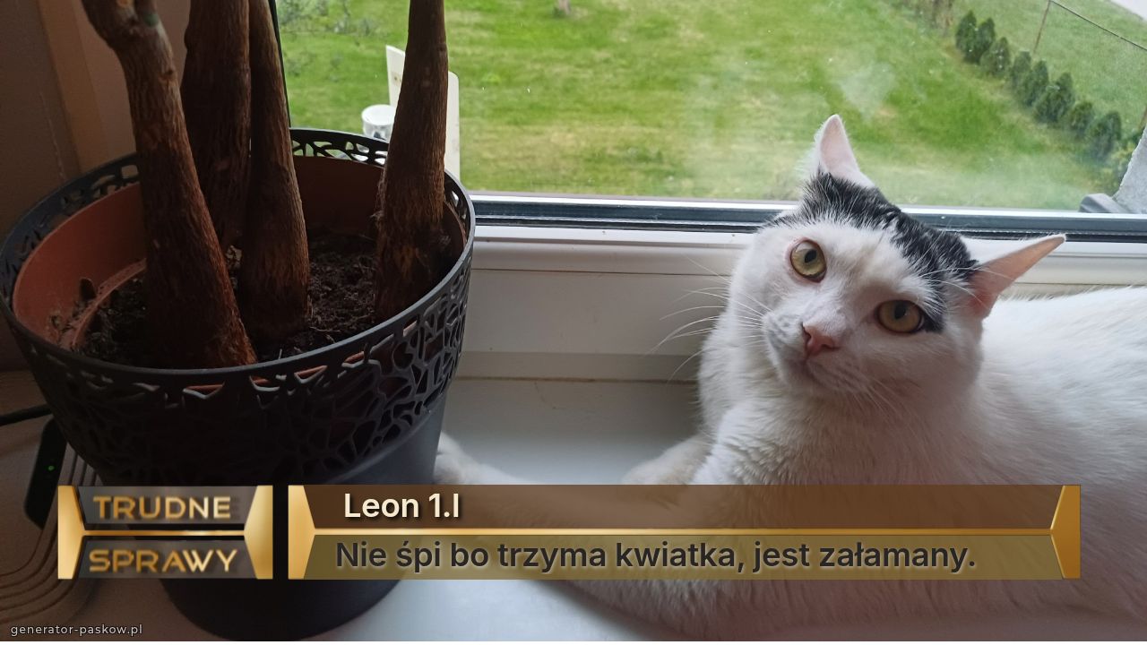  Leon 1.l
Nie śpi bo trzyma kwiatka, jest załamany.