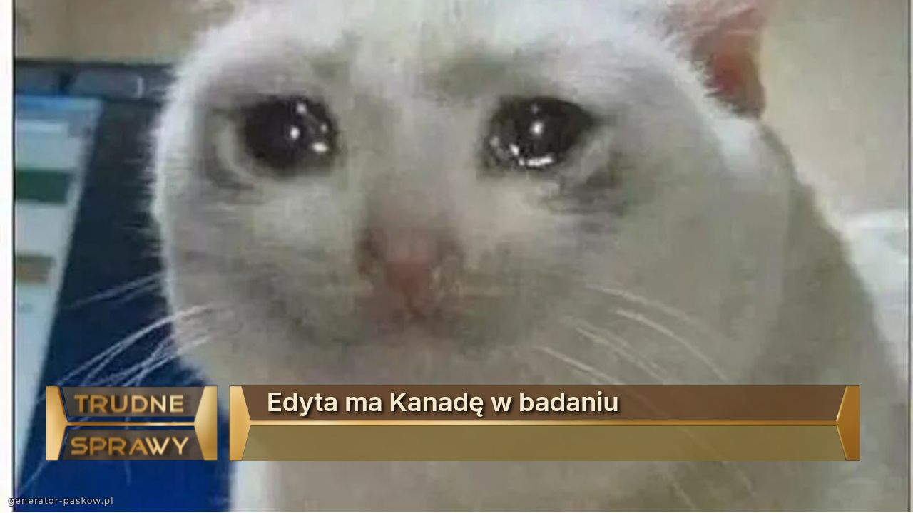 Edyta ma Kanadę w badaniu 
