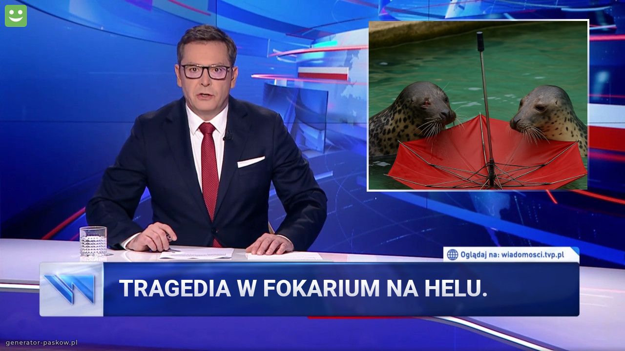 Tragedia w fokarium na Helu. 