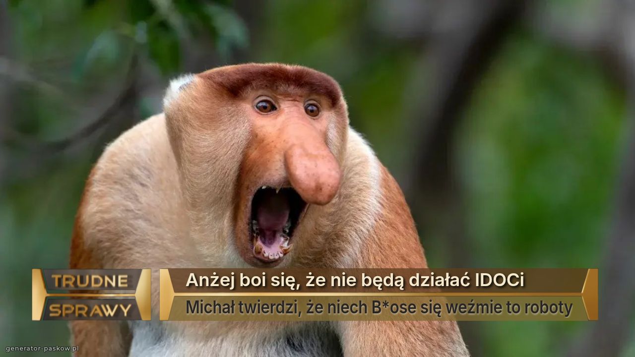Anżej boi się, że nie będą działać IDOCi
Michał twierdzi, że niech B*ose się weźmie to roboty