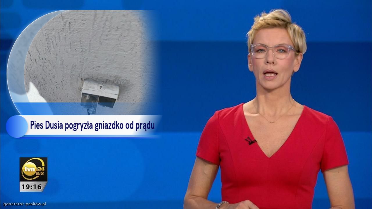 Pies Dusia pogryzła gniazdko od prądu