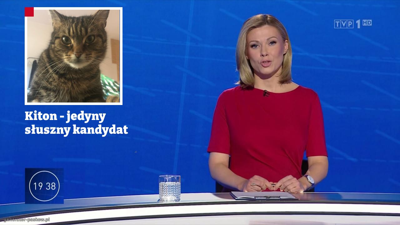 Kiton - jedyny słuszny kandydat