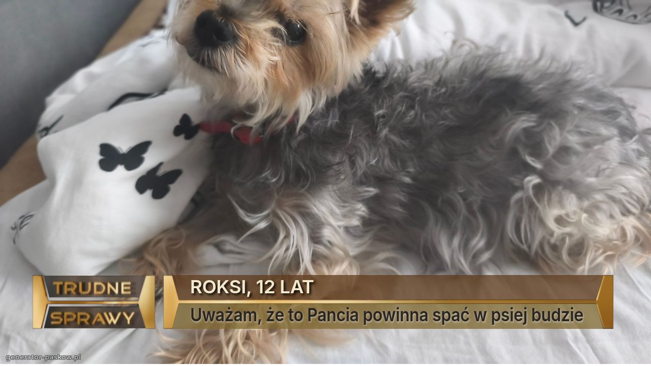 ROKSI, 12 LAT
Uważam, że to Pancia powinna spać w psiej budzie 