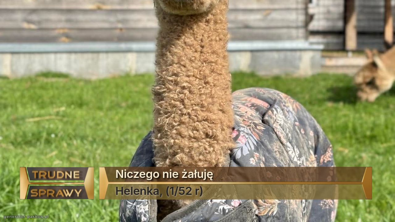 Niczego nie żałuję
Helenka, (1/52 r)