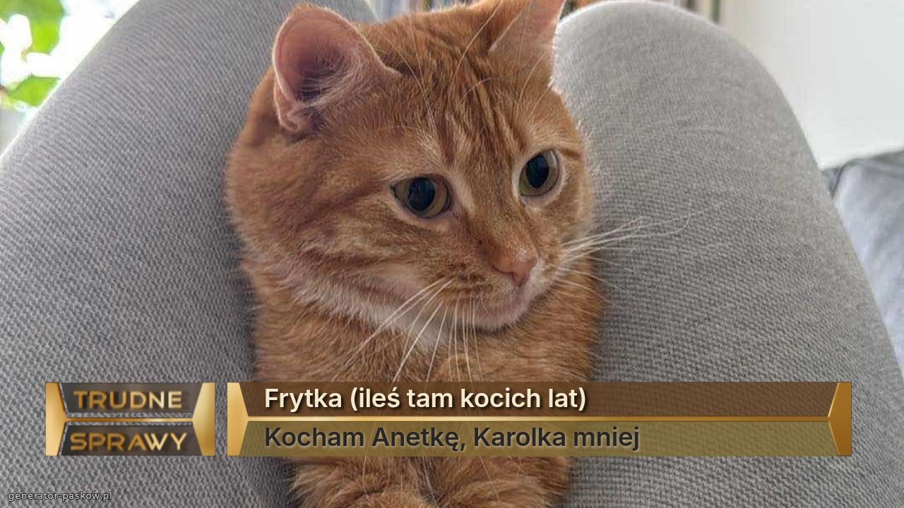 Frytka (ileś tam kocich lat)
Kocham Anetkę, Karolka mniej 