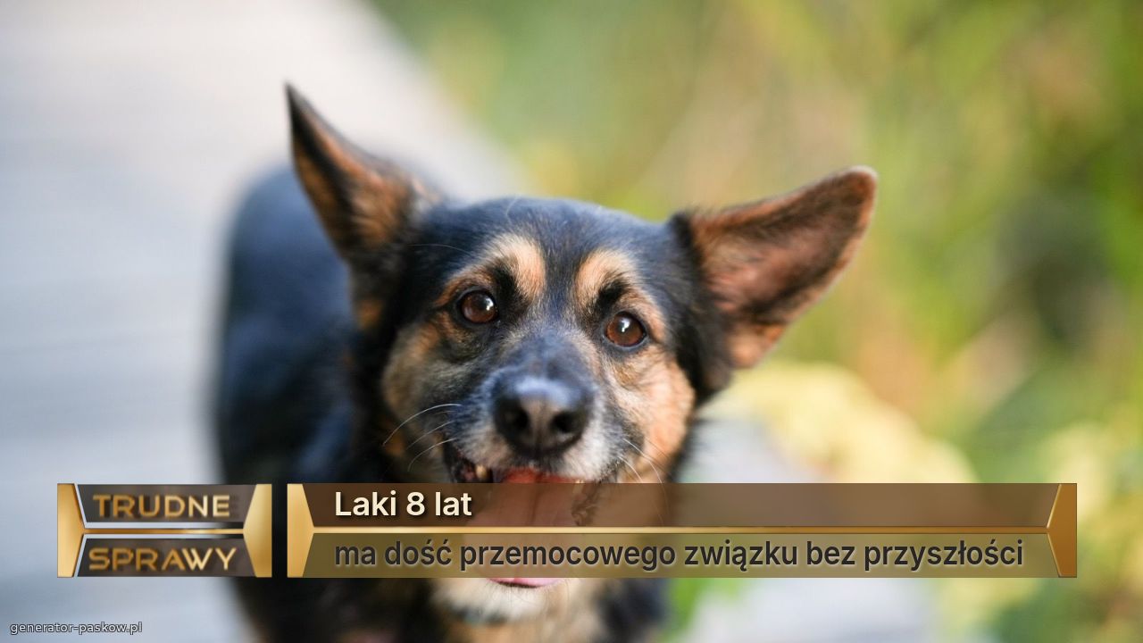 Laki 8 lat
ma dość przemocowego związku bez przyszłości 