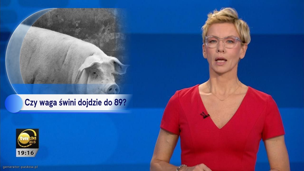 Czy waga świni dojdzie do 89?