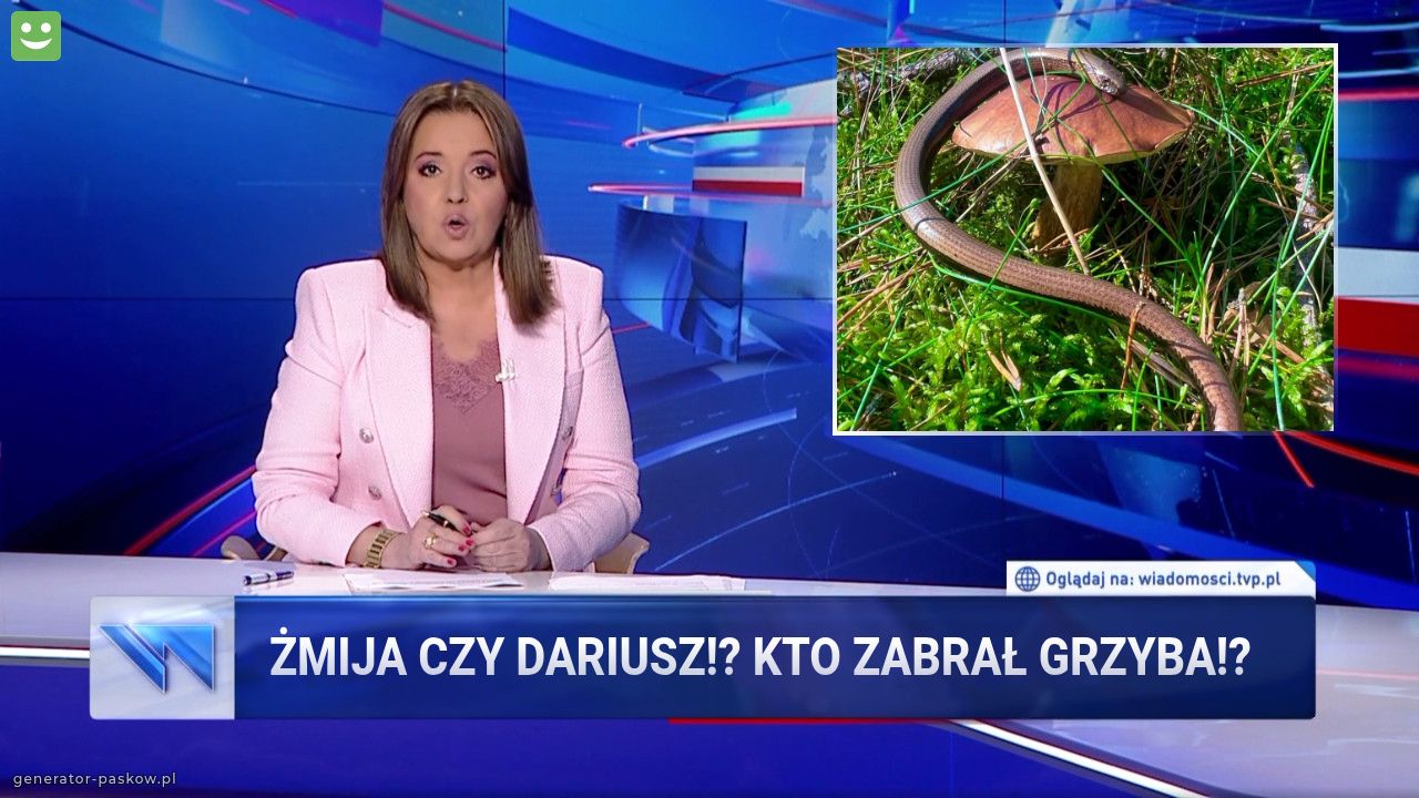Żmija czy Dariusz!? Kto zabrał grzyba!? 