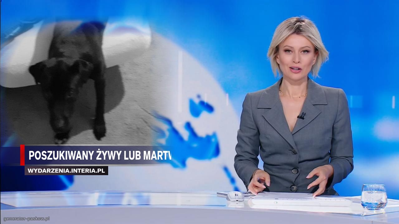 Poszukiwany żywy lub martwy 