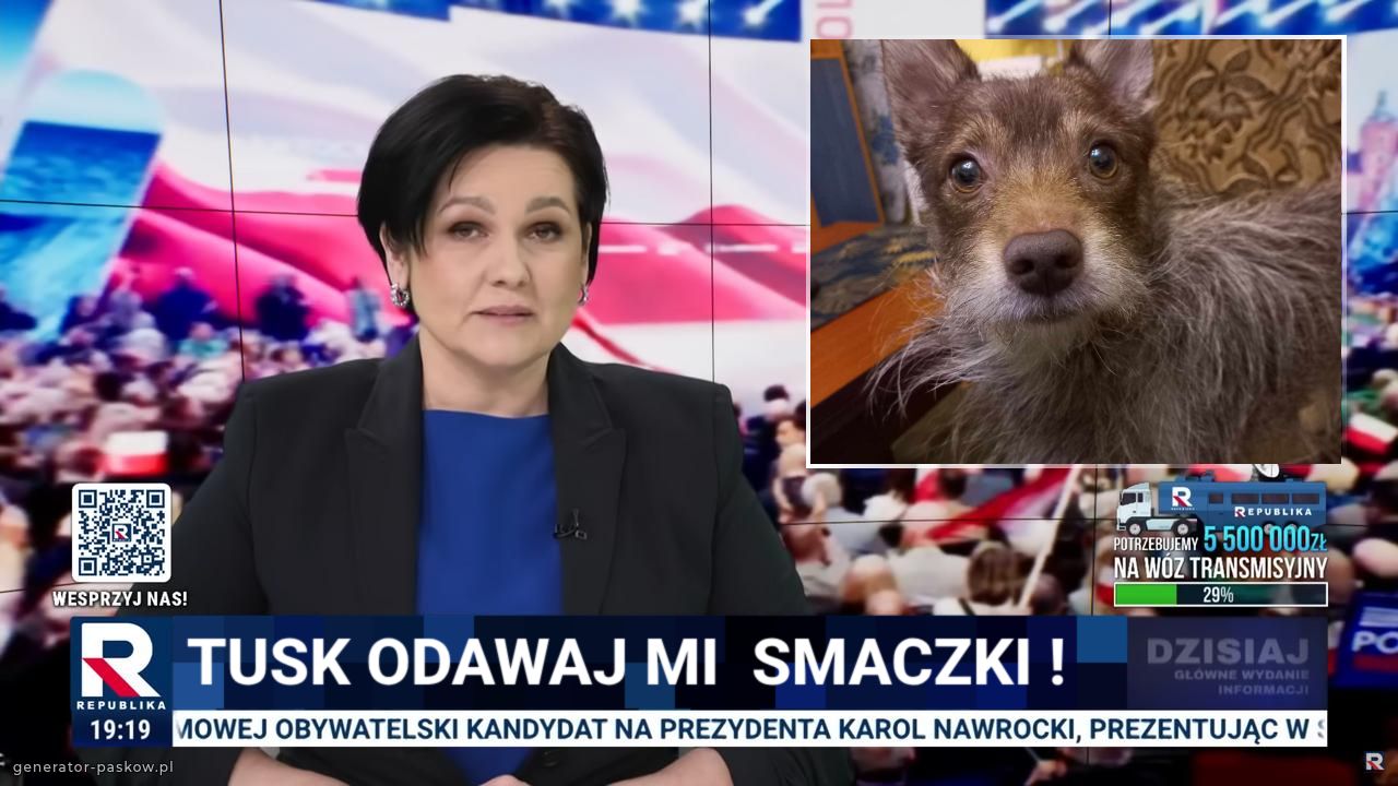 Tusk odawaj mi  smaczki !