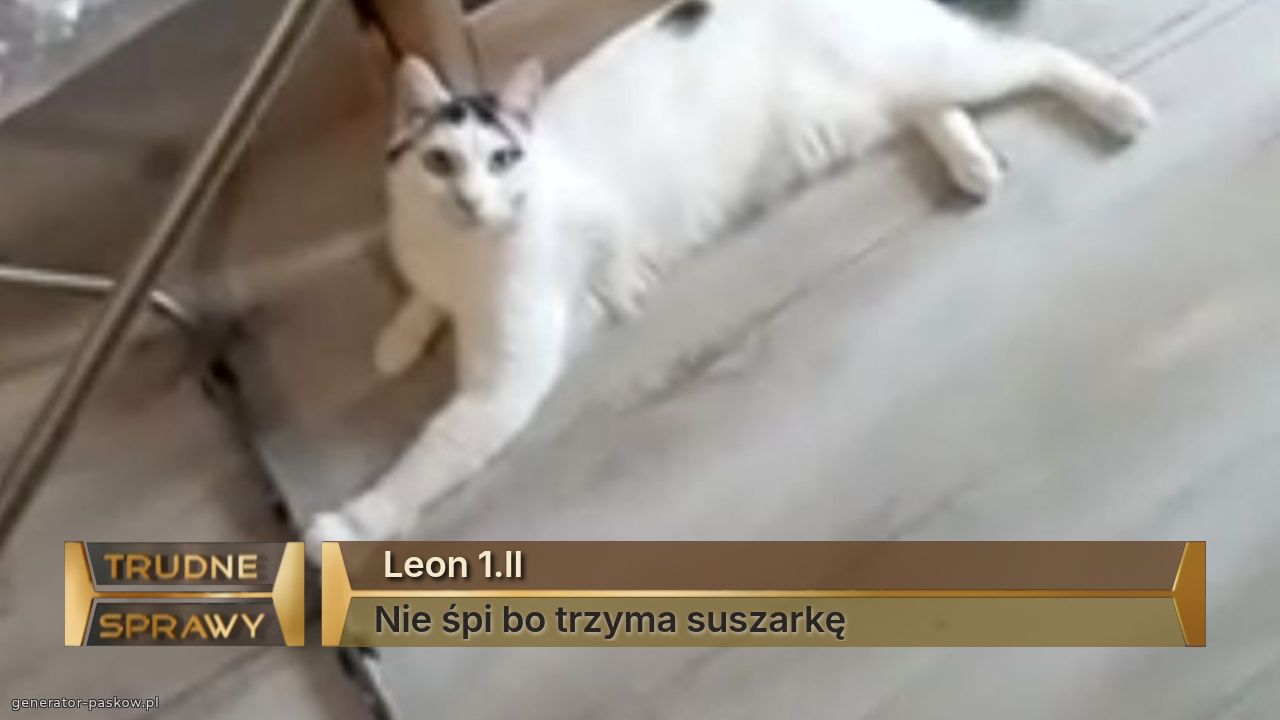 Leon 1.ll
Nie śpi bo trzyma suszarkę
