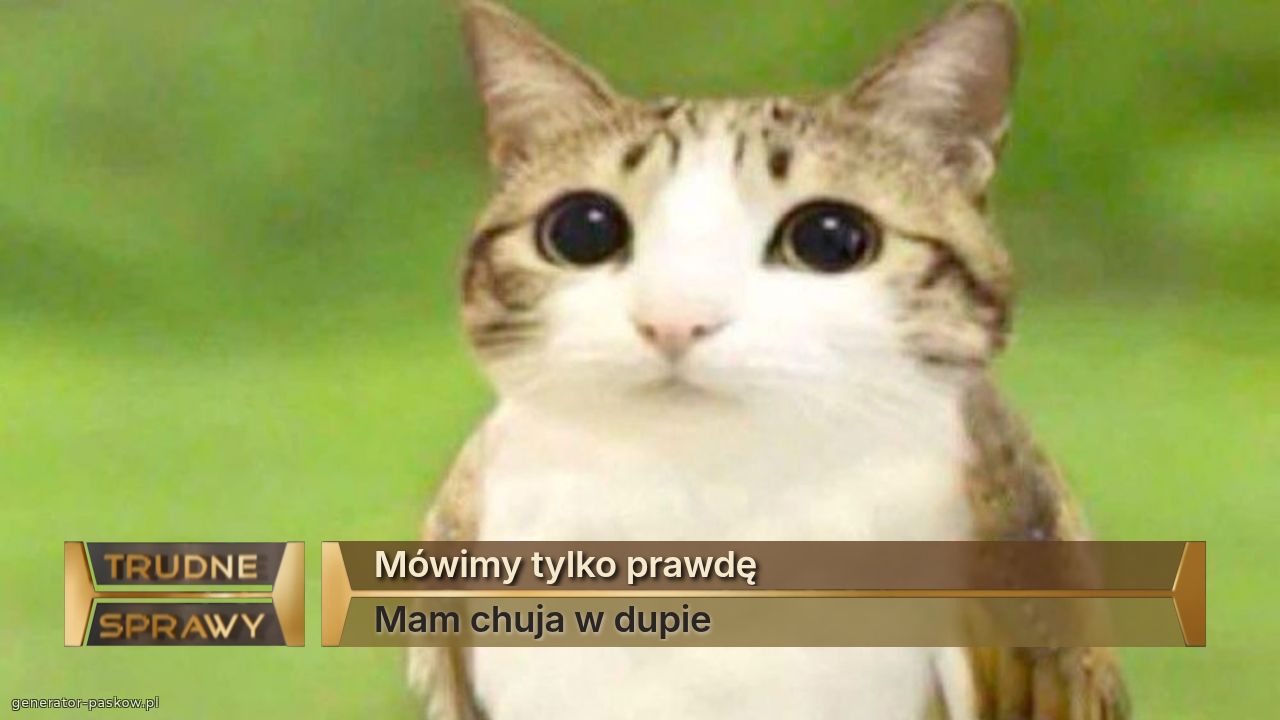 Mówimy tylko prawdę
Mam chuja w dupie