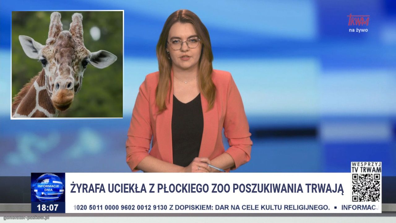 Żyrafa uciekła z płockiego zoo Poszukiwania trwają 
