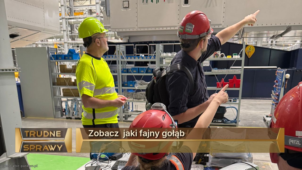 Zobacz  jaki fajny gołąb 
