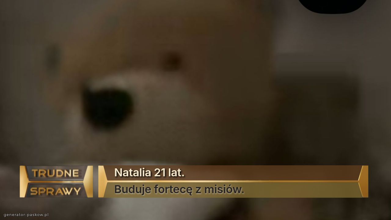 Natalia 21 lat.
Buduje fortecę z misiów. 