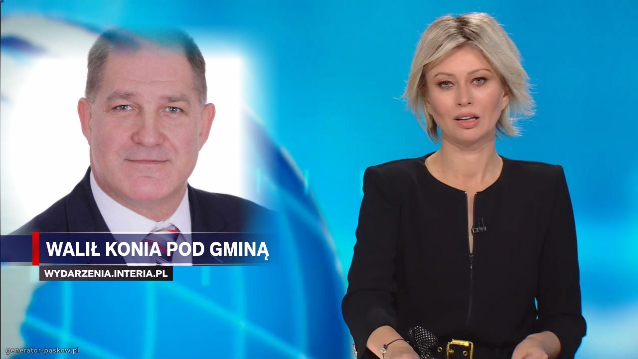 Walił konia pod gminą 