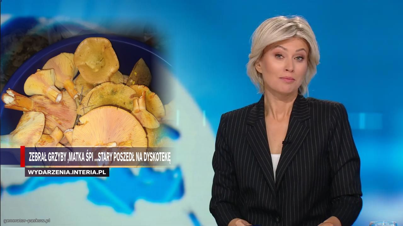 Zebrał grzyby ,matka śpi ...stary poszedł na dyskotekę  