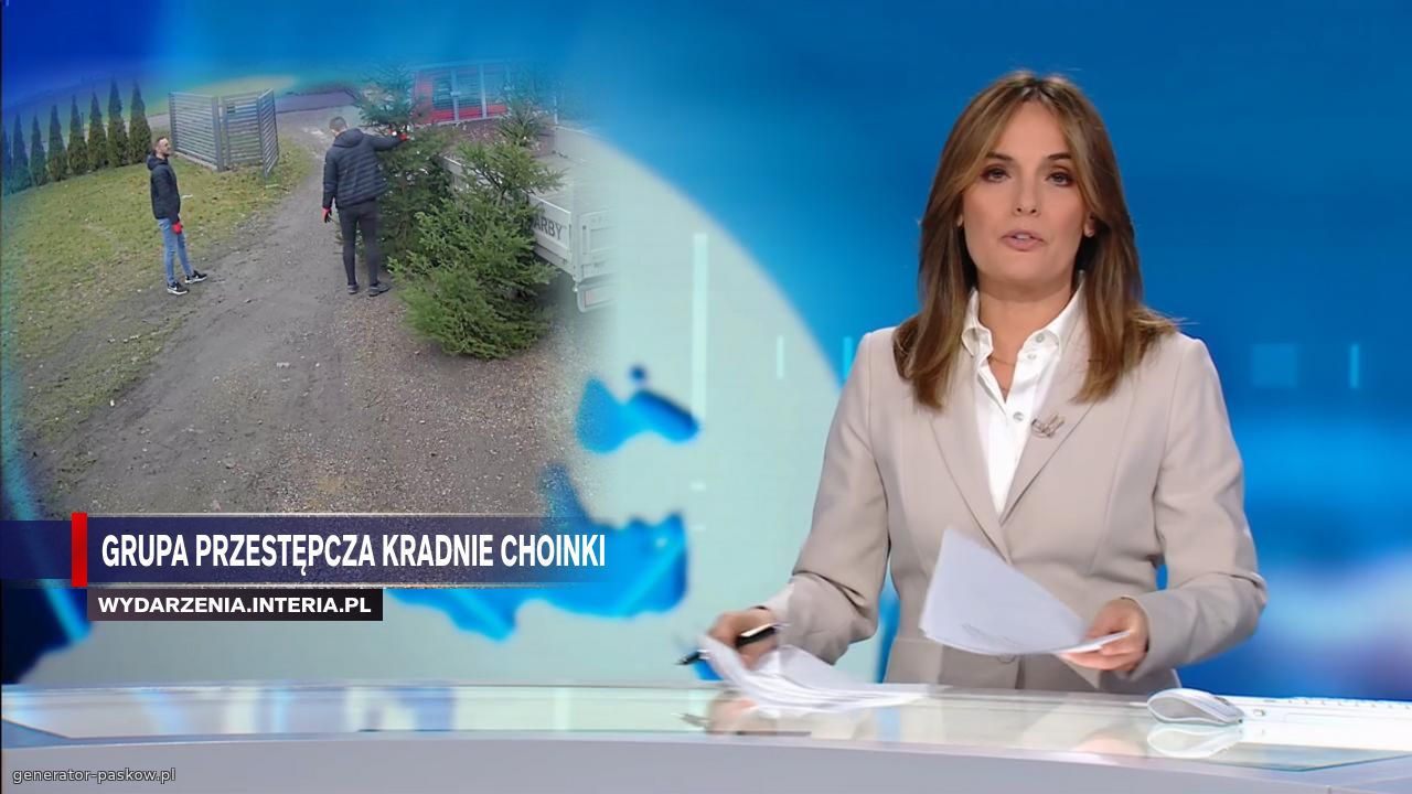 Grupa przestępcza kradnie choinki