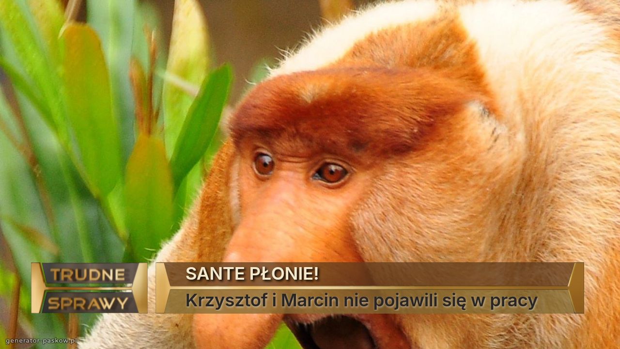  SANTE PŁONIE!
 Krzysztof i Marcin nie pojawili się w pracy