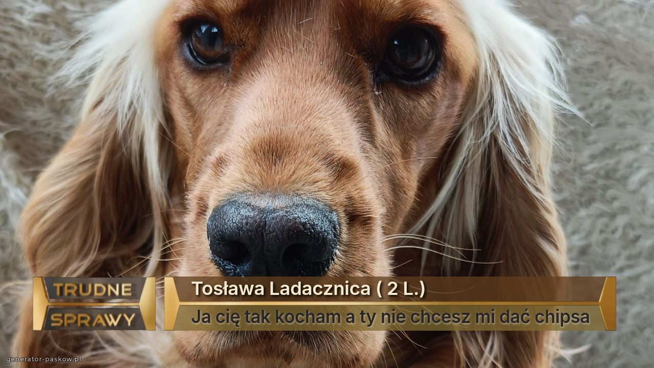 Tosława Ladacznica ( 2 L.)
Ja cię tak kocham a ty nie chcesz mi dać chipsa
