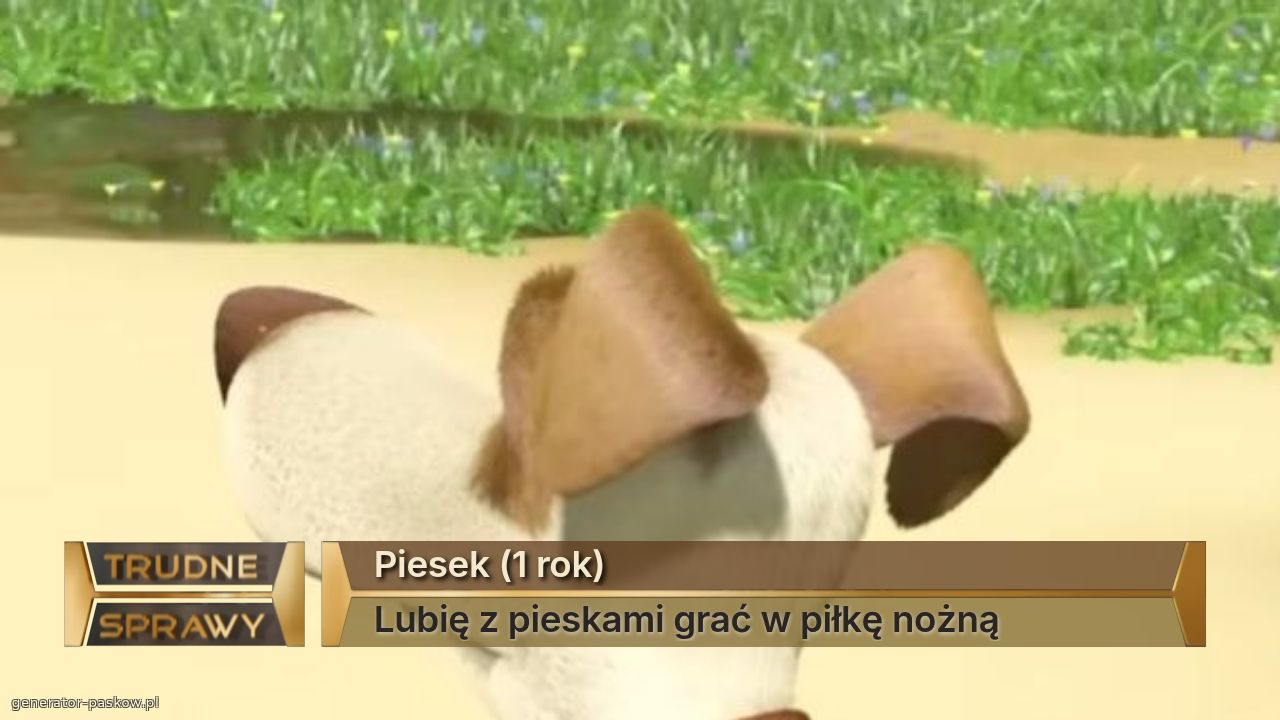 Piesek (1 rok)
Lubię z pieskami grać w piłkę nożną