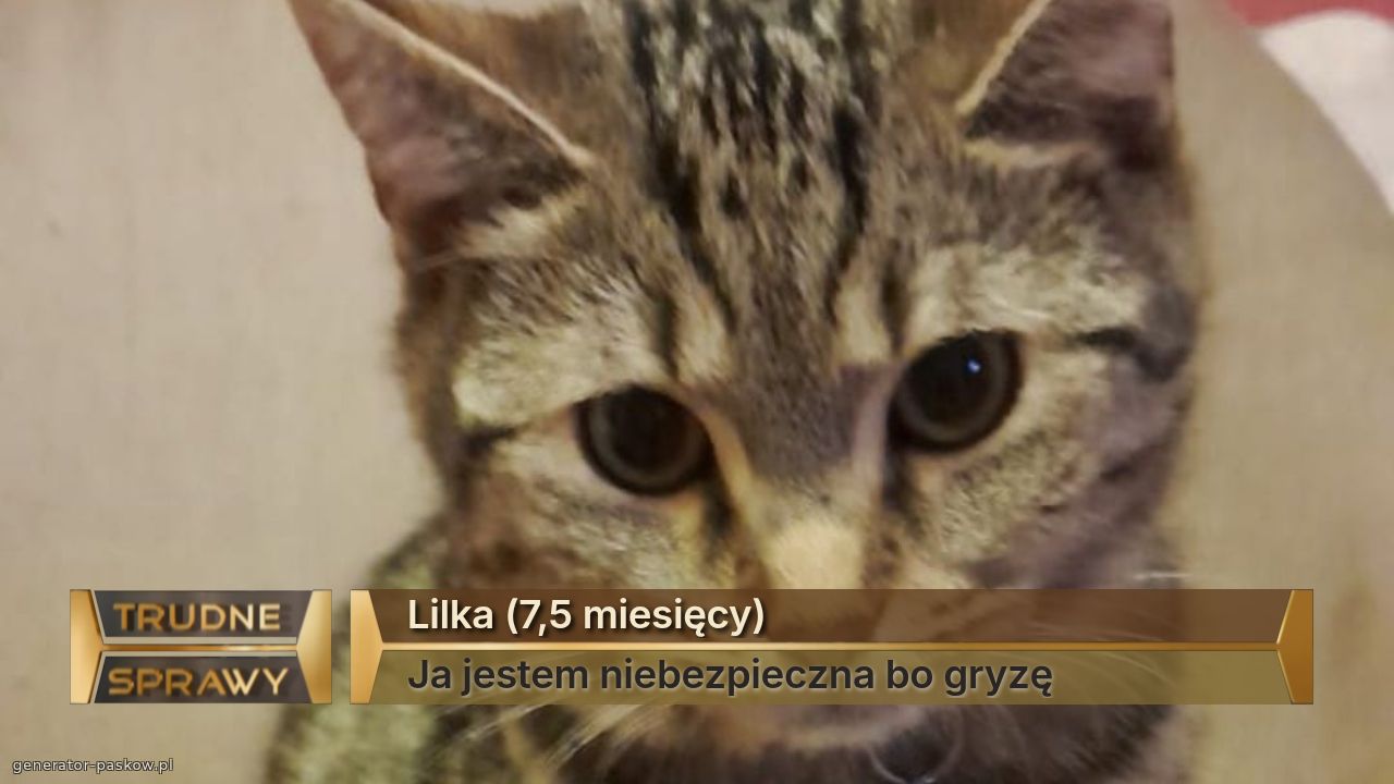 Lilka (7,5 miesięcy)
Ja jestem niebezpieczna bo gryzę