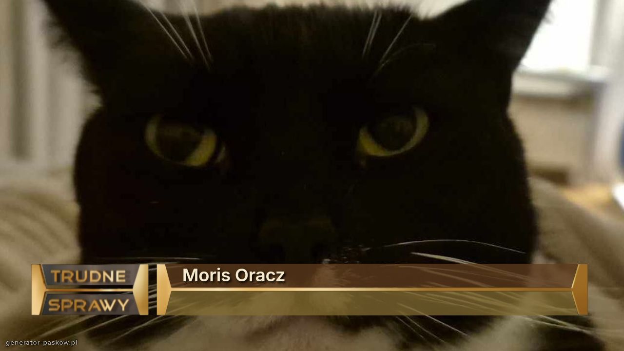 Moris Oracz
