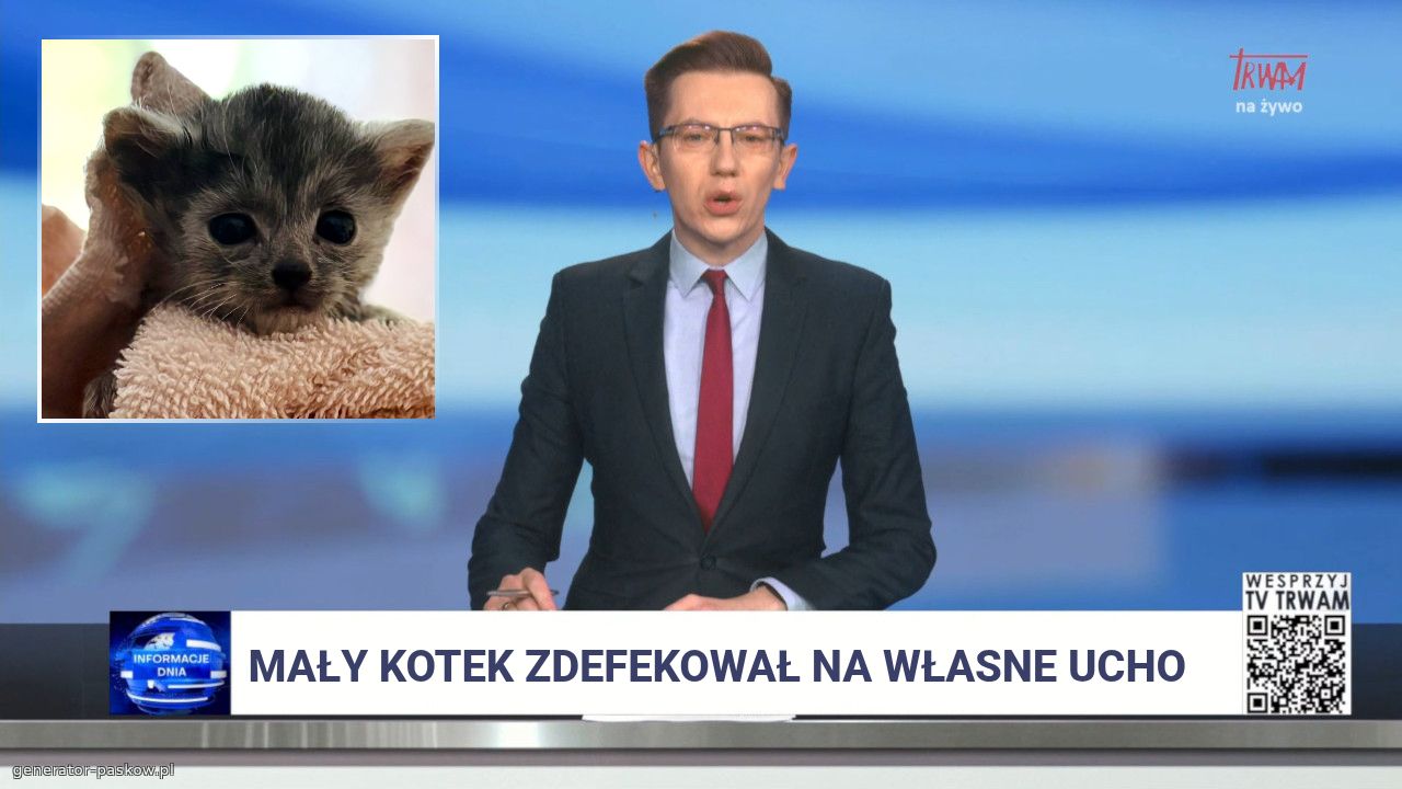 Mały kotek zdefekował na własne ucho 