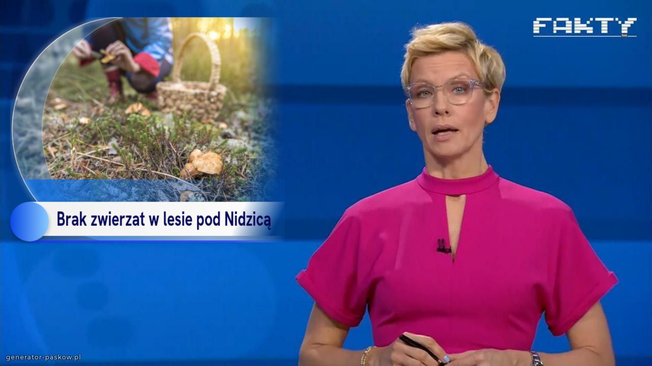  Brak zwierzat w lesie pod Nidzicą