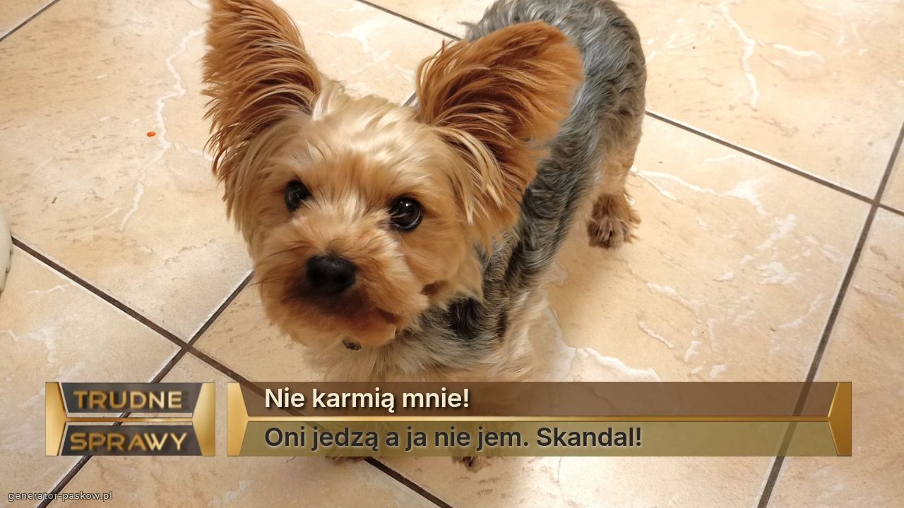 Nie karmią mnie! 
Oni jedzą a ja nie jem. Skandal! 