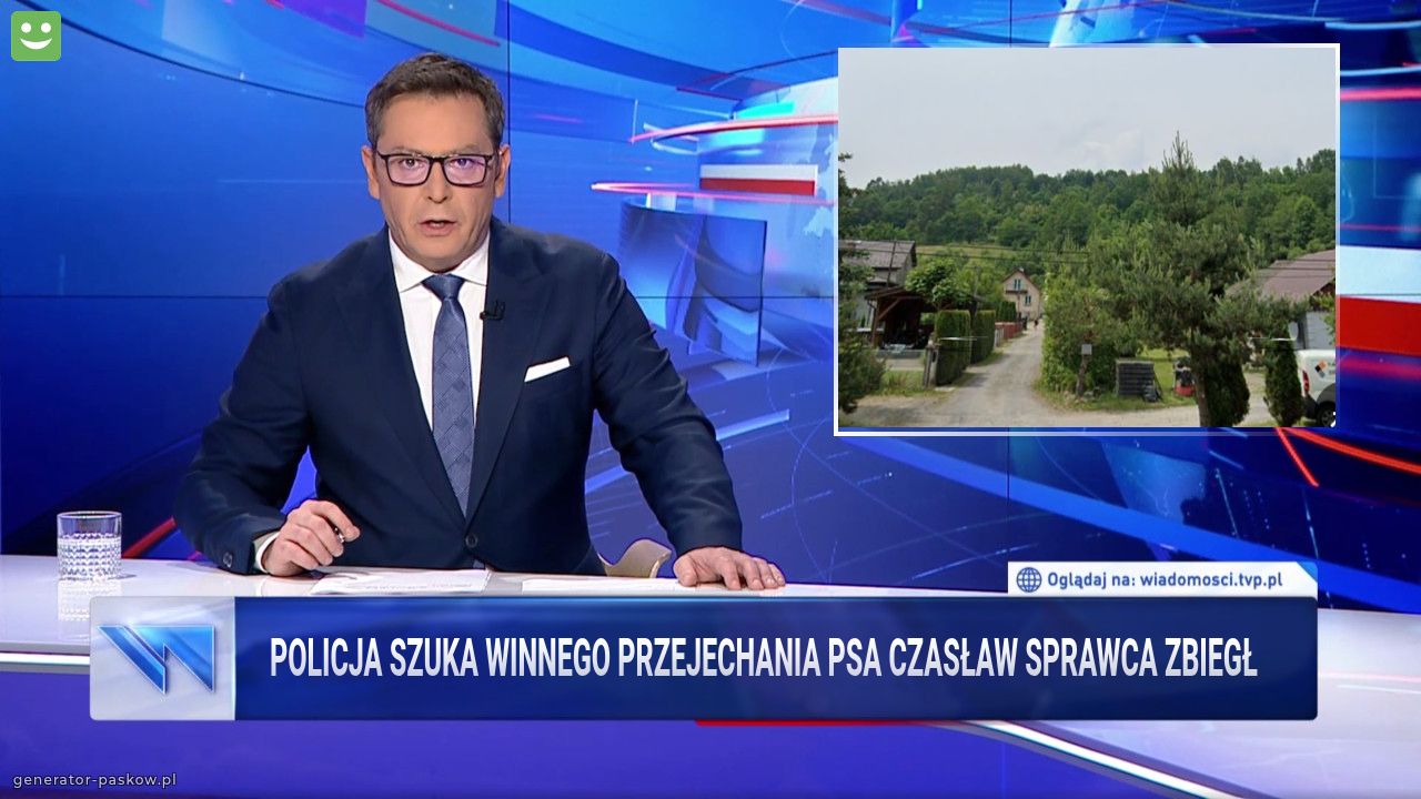 Policja szuka winnego przejechania psa Czasław sprawca zbiegł 