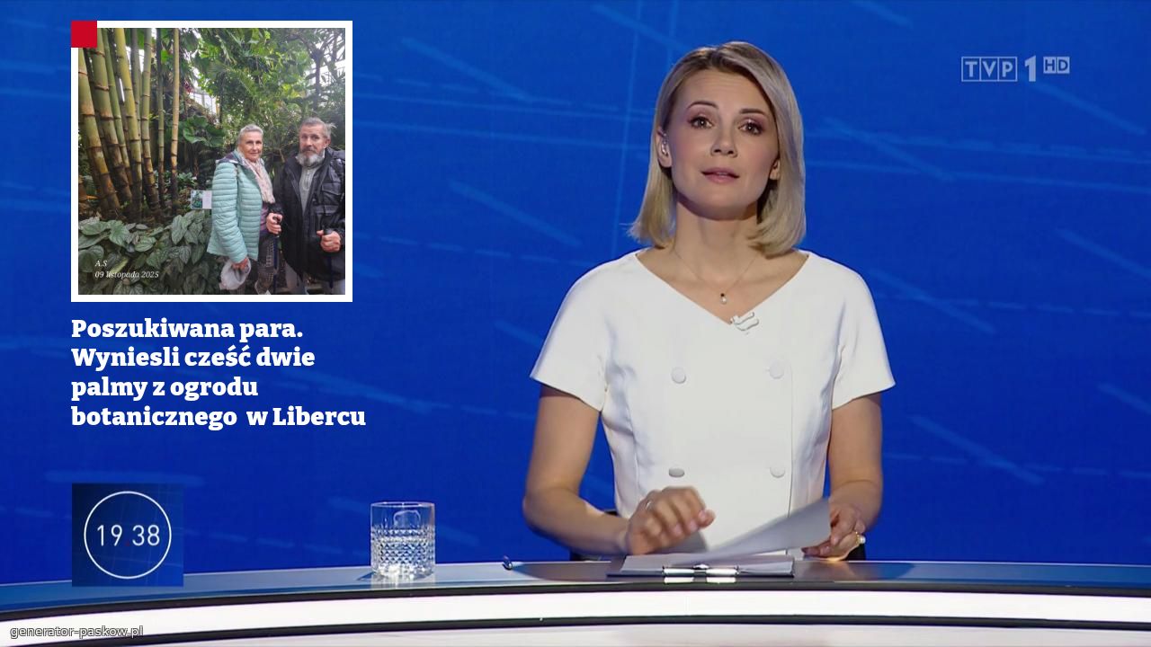 Poszukiwana para. Wyniesli cześć dwie palmy z ogrodu botanicznego  w Libercu 