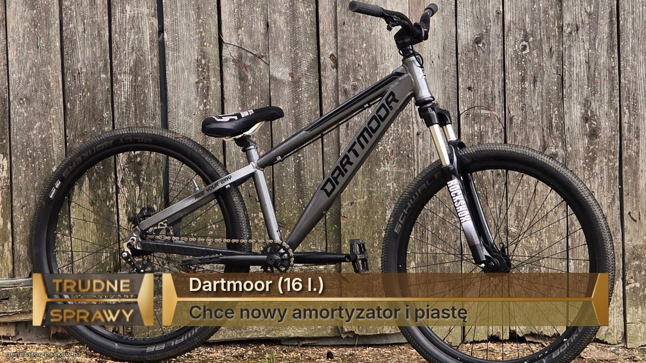 Dartmoor (16 l.)
Chce nowy amortyzator i piastę 