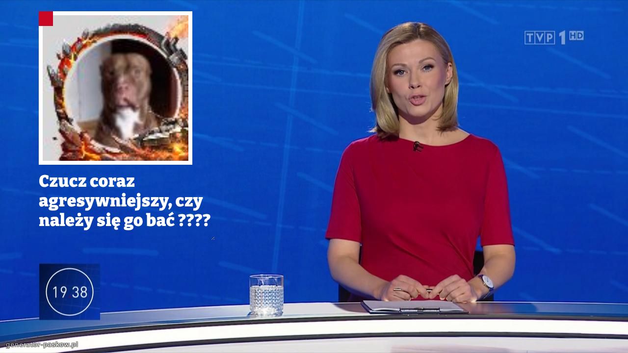 Czucz coraz agresywniejszy, czy należy się go bać ????