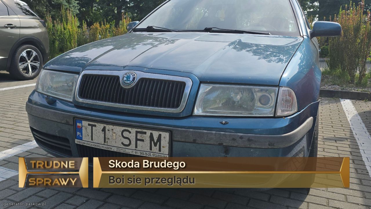 Skoda Brudego
Boi sie przeglądu