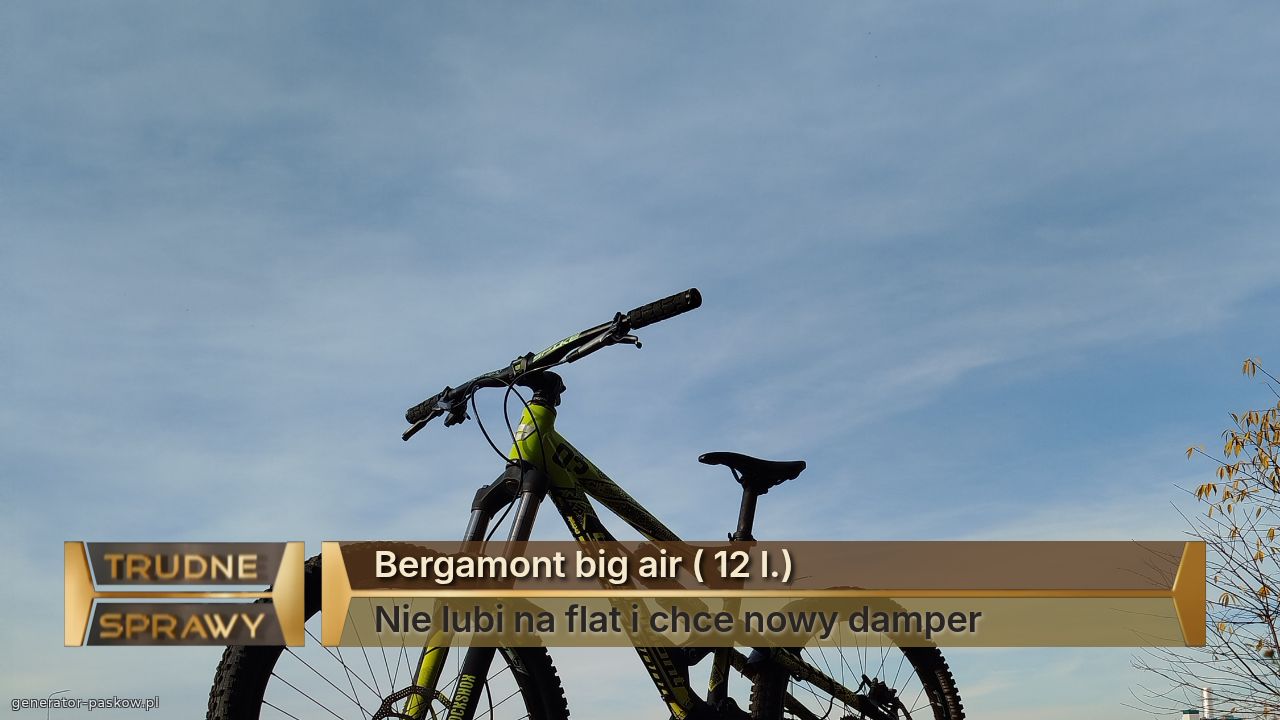 Bergamont big air ( 12 l.)
Nie lubi na flat i chce nowy damper