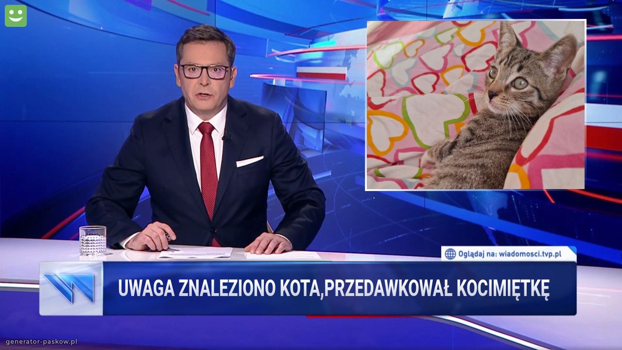 Uwaga znaleziono kota,przedawkował kocimiętkę 