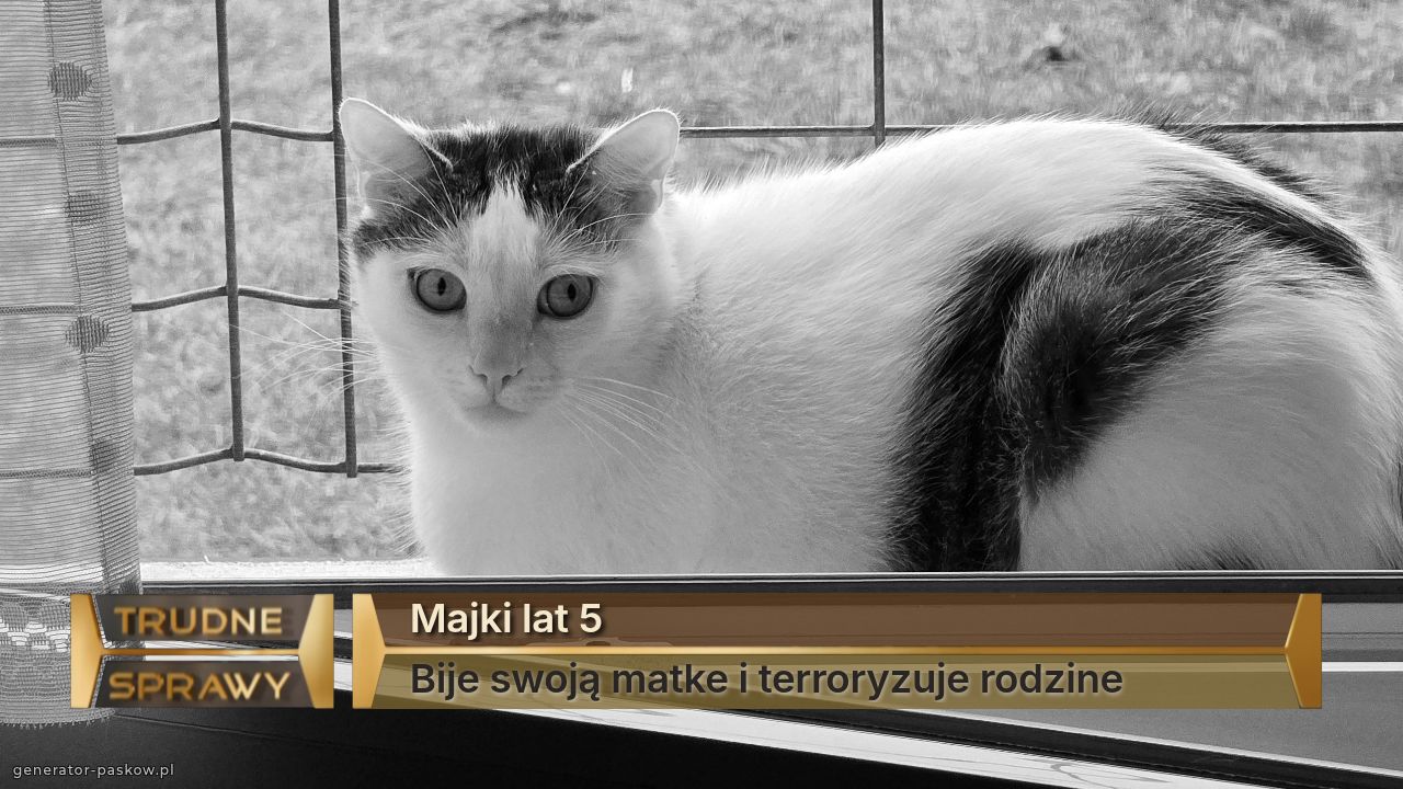 Majki lat 5
Bije swoją matke i terroryzuje rodzine