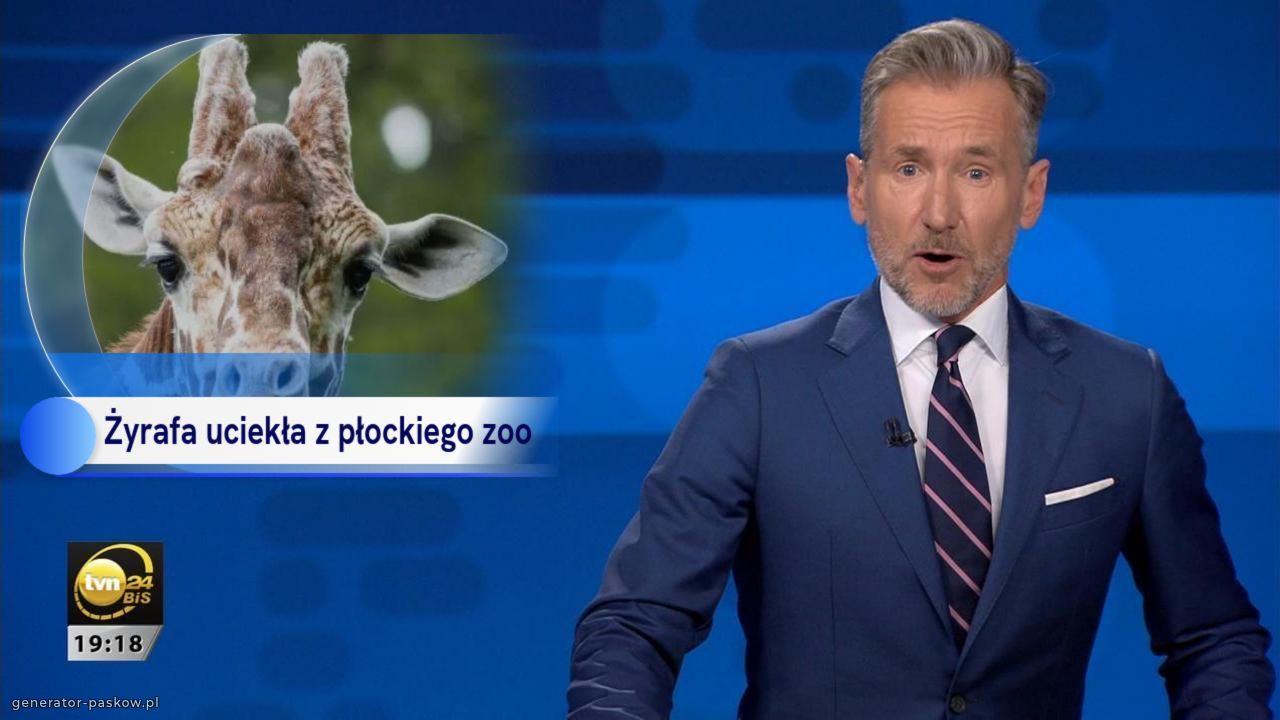 Żyrafa uciekła z płockiego zoo
Poszukiwania trwają 