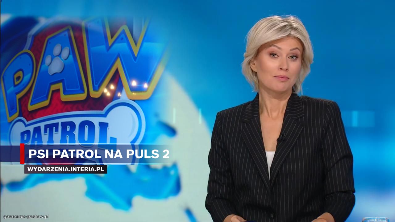 Psi Patrol Na PULS 2